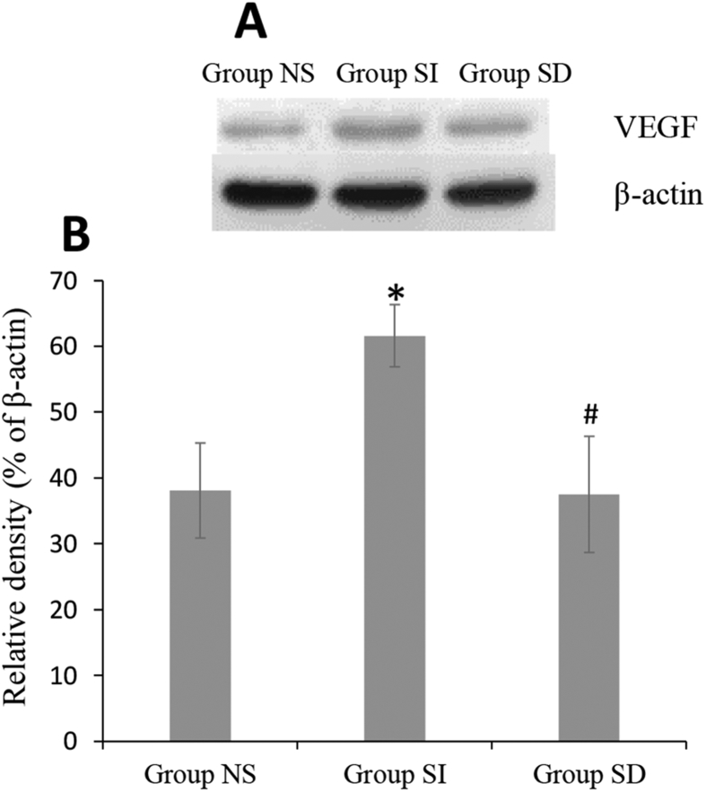 Fig. 6