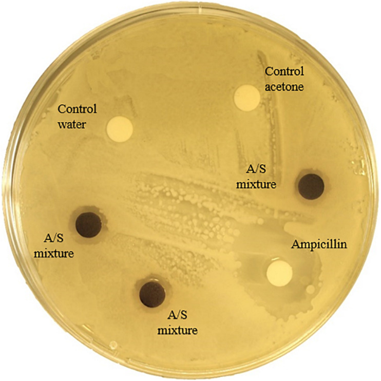 FIGURE 3