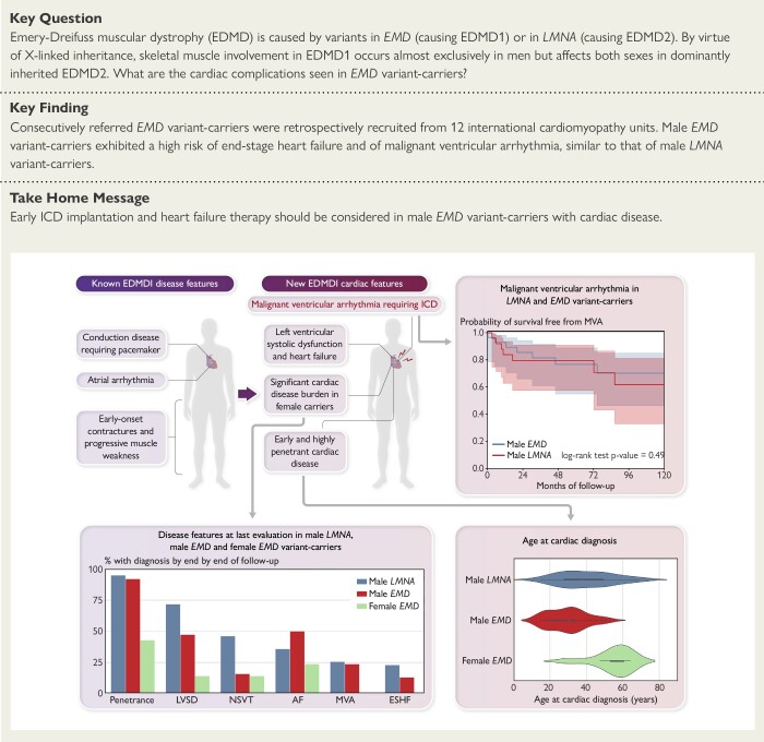 Structured Graphical Abstract