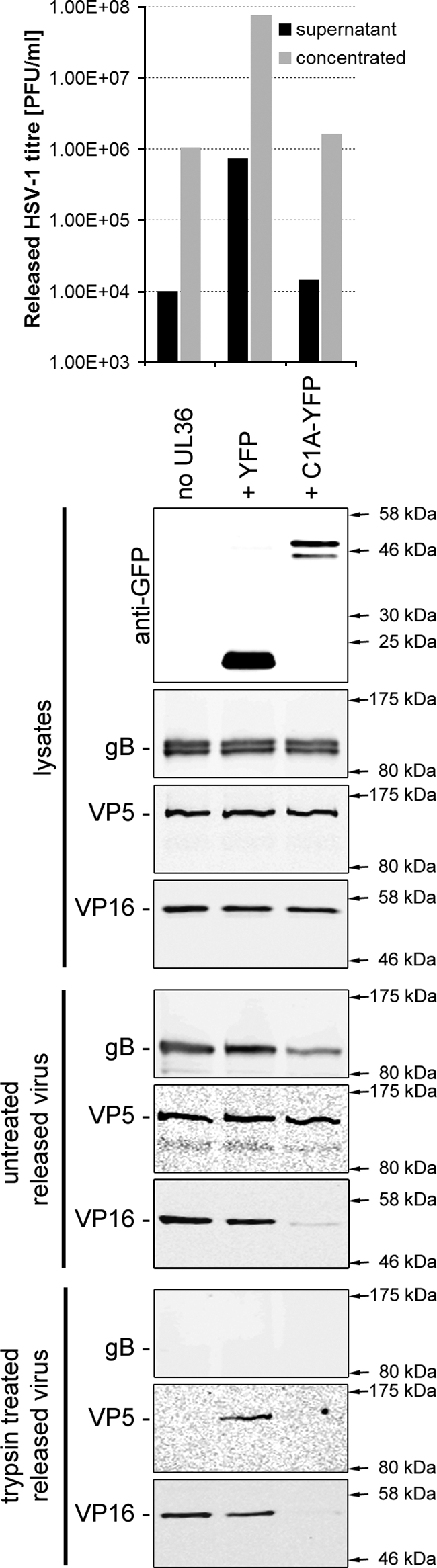 FIG. 5.