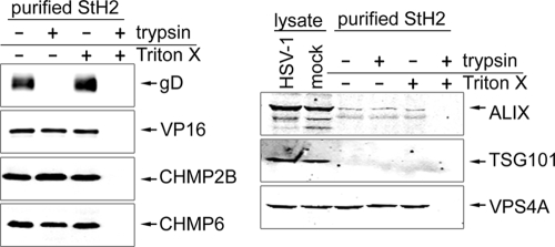 FIG. 7.