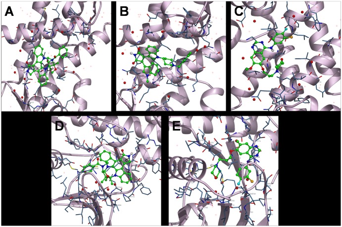 Fig 6