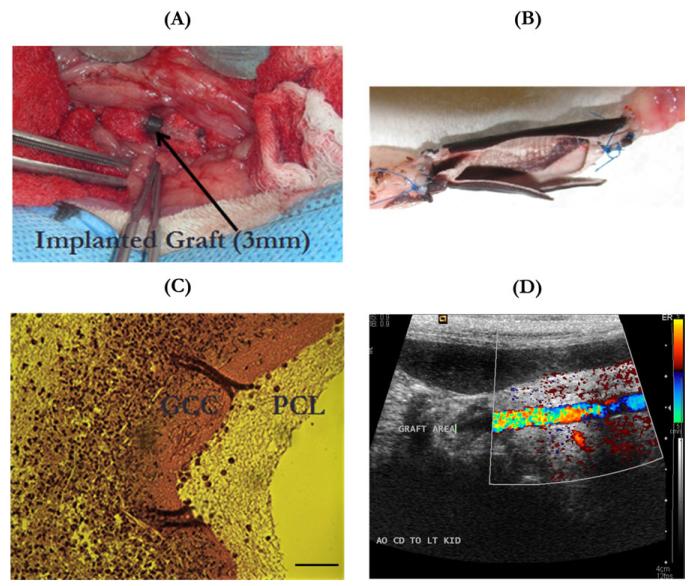 FIGURE 11