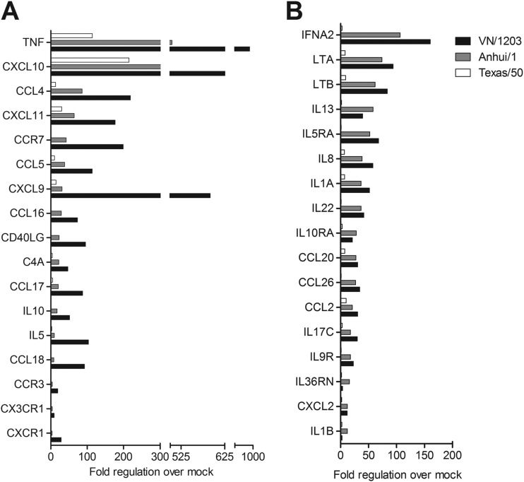 FIG 3