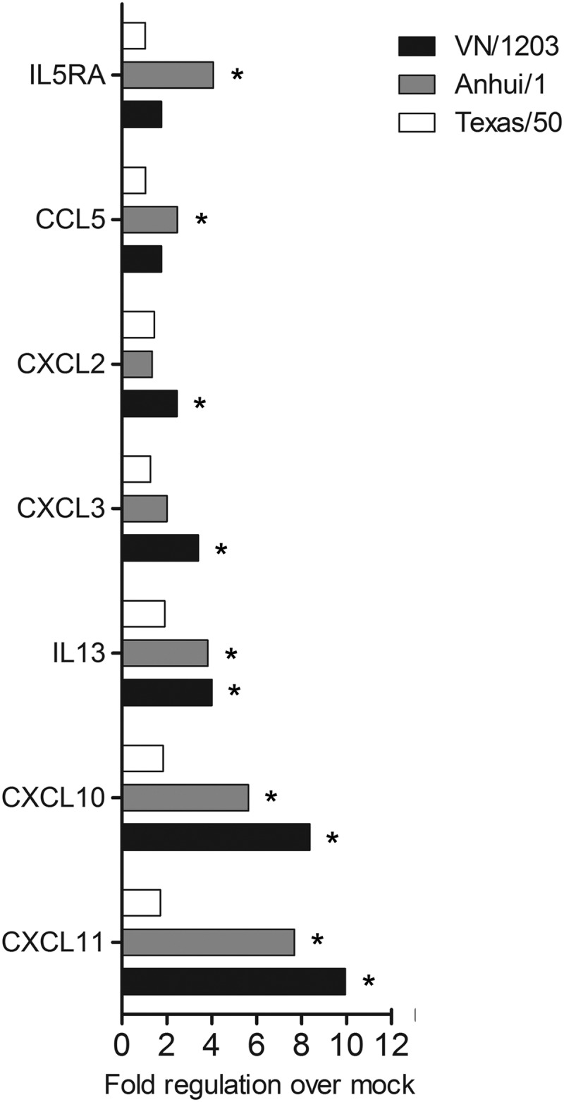 FIG 6