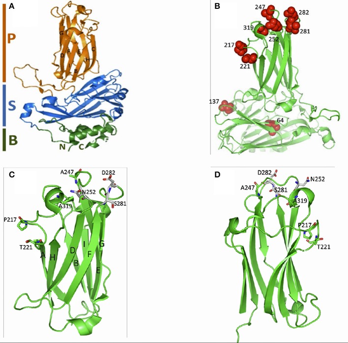 Figure 4