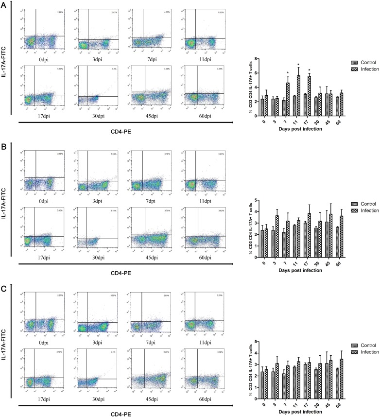 Figure 4