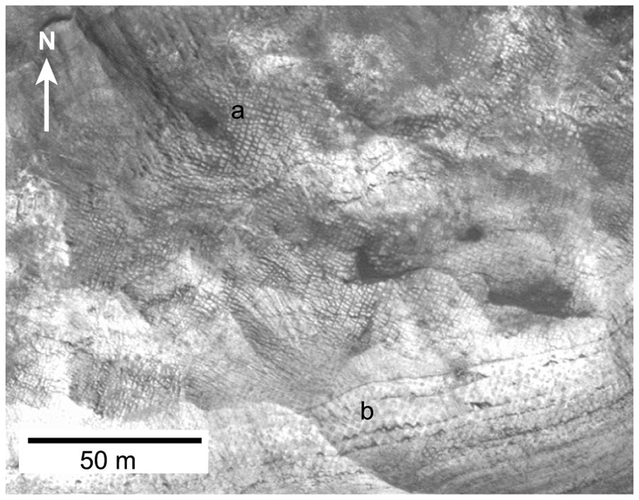 Figure 13.