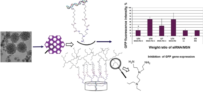 Image, graphical abstract