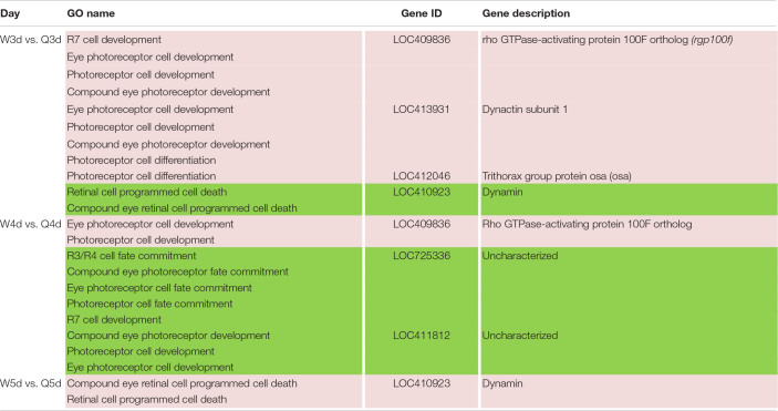 graphic file with name fgene-11-00770-t008.jpg