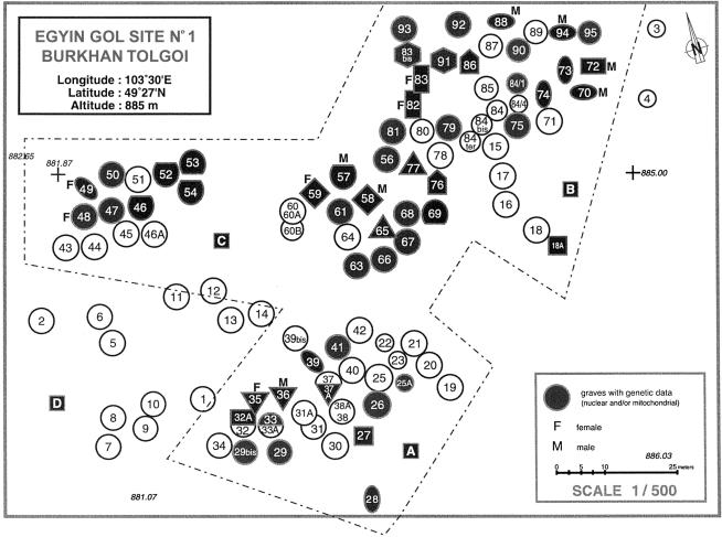 Figure  4