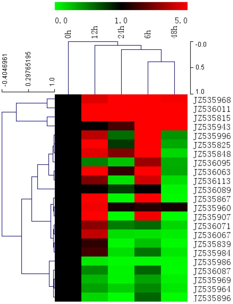 Figure 6