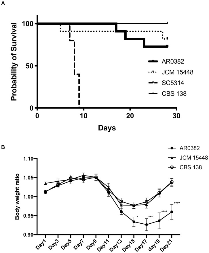 Fig 6