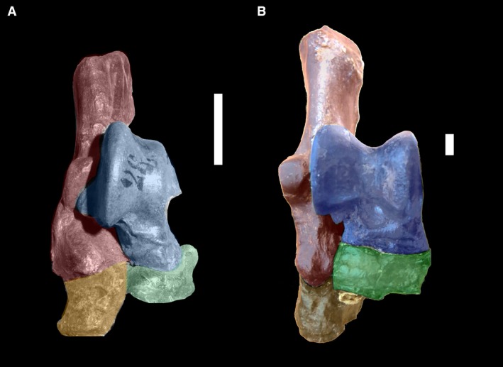 Figure 7