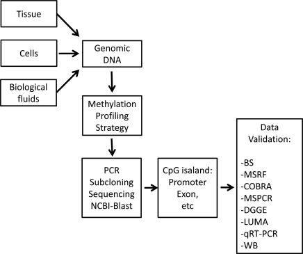 Fig. (3)