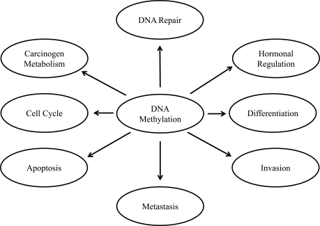 Fig. (2)