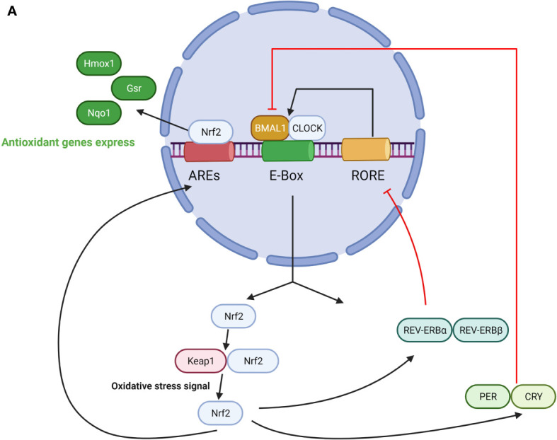 Figure 2