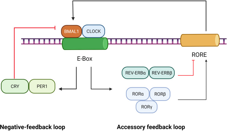 Figure 1