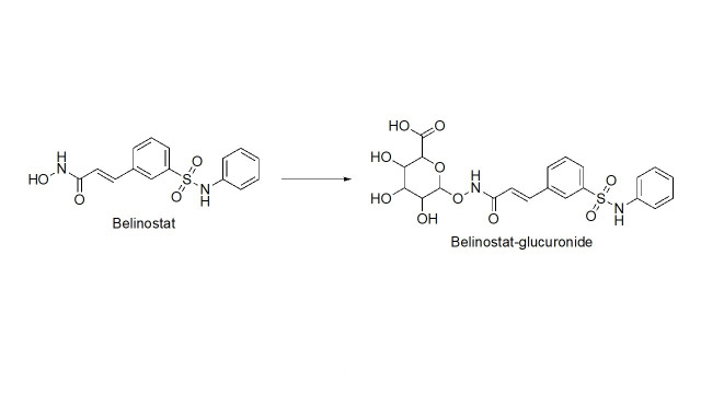 Figure 13