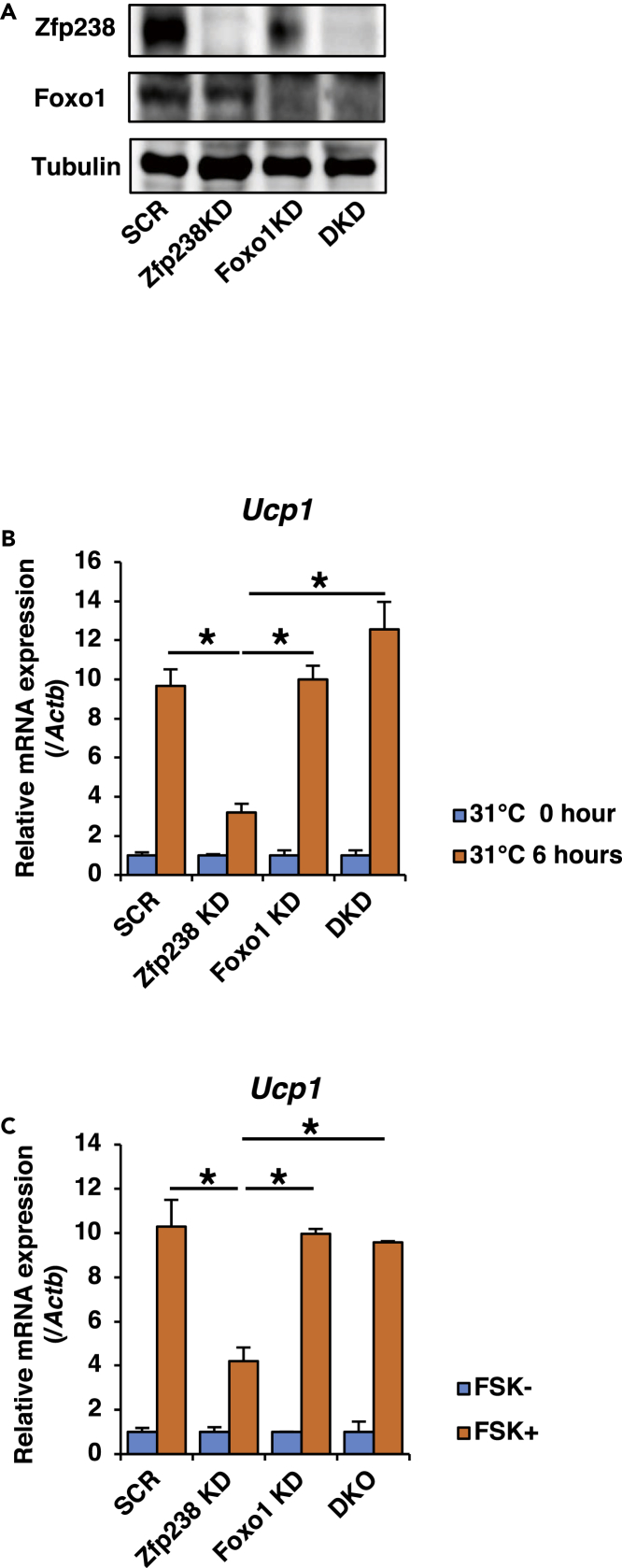 Figure 7