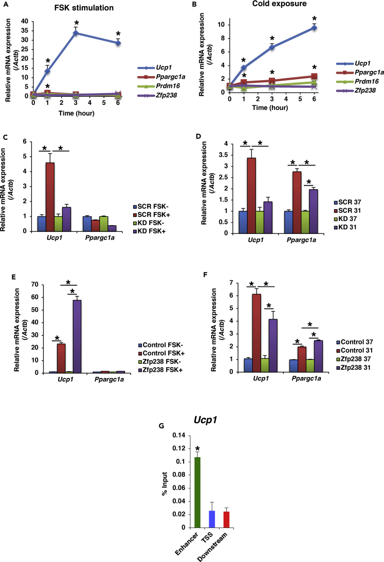 Figure 6