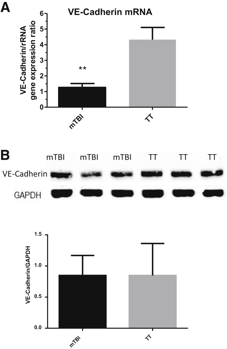 Figure 7