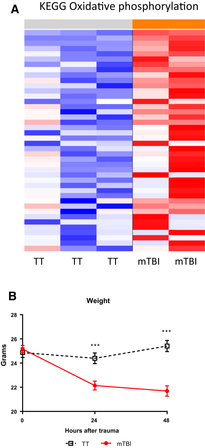 Figure 5