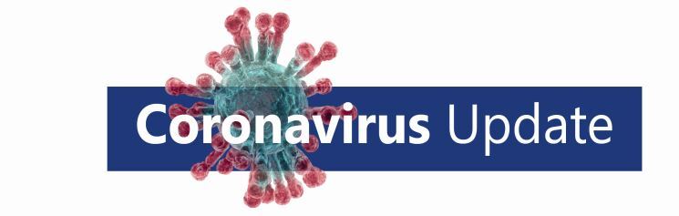 graphic file with name 15004_2021_8687_Fig2_HTML.jpg