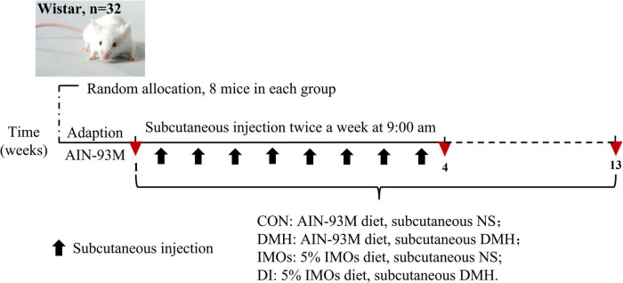 FIGURE 1