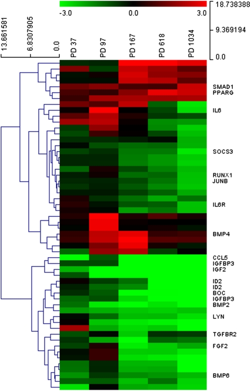 FIG. 4.