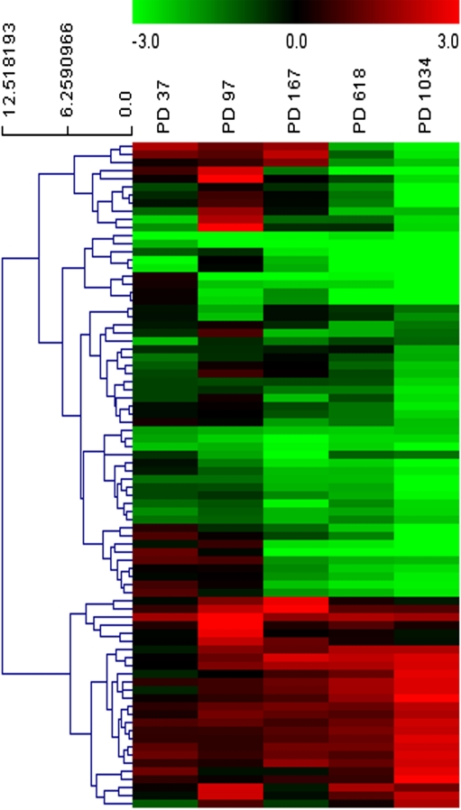 FIG. 7.