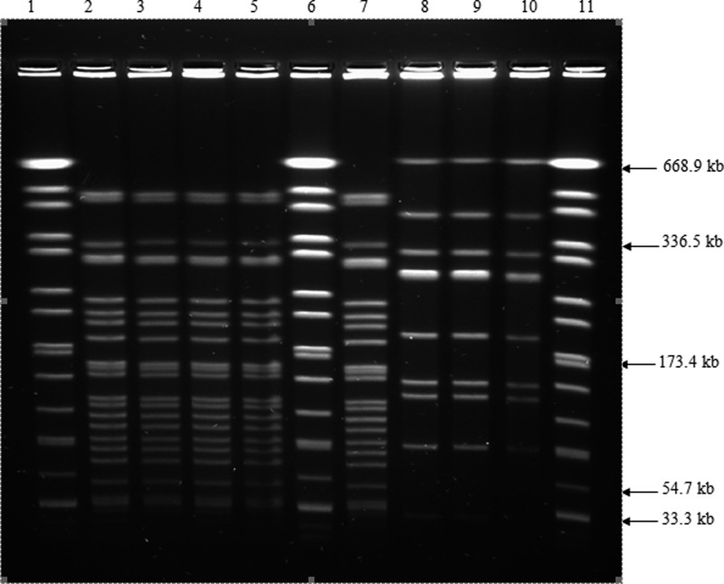 Figure 3.