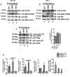 Fig 10