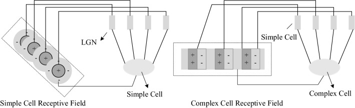 Fig. 7