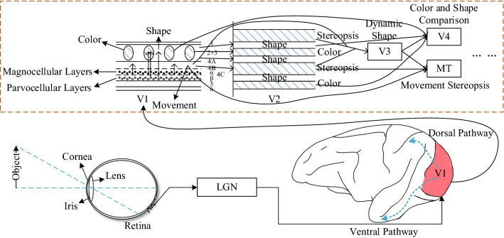 Fig. 1