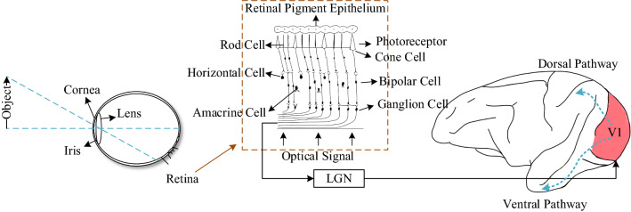 Fig. 2