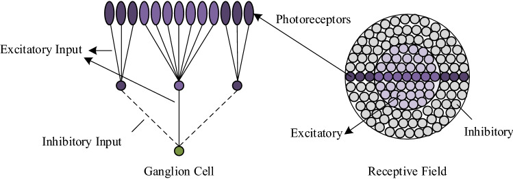 Fig. 6