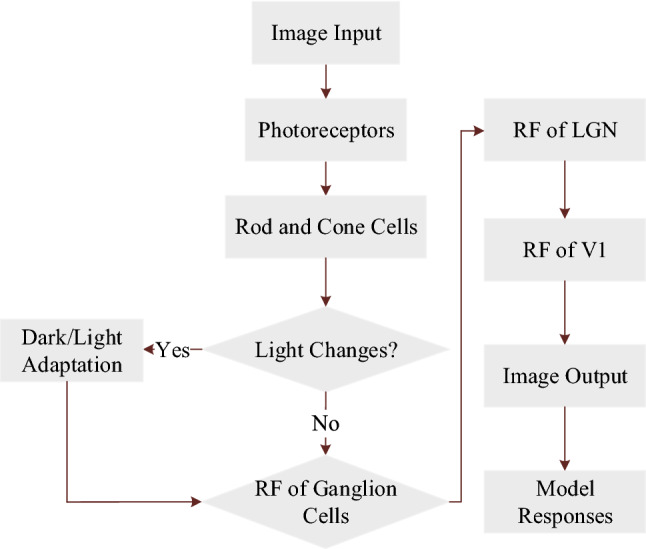 Fig. 11