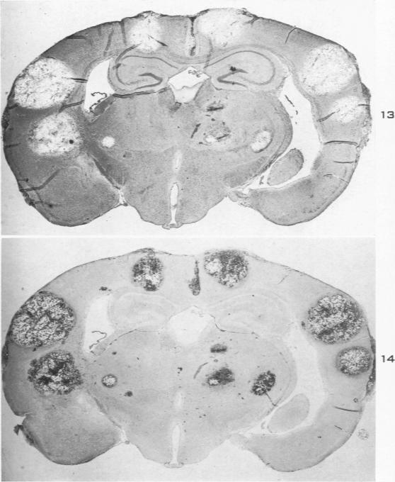 Figs. 13 and 14