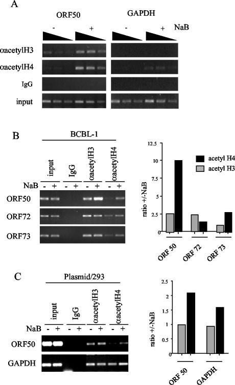 FIG. 6.