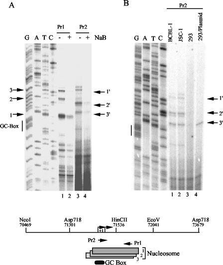 FIG. 5.