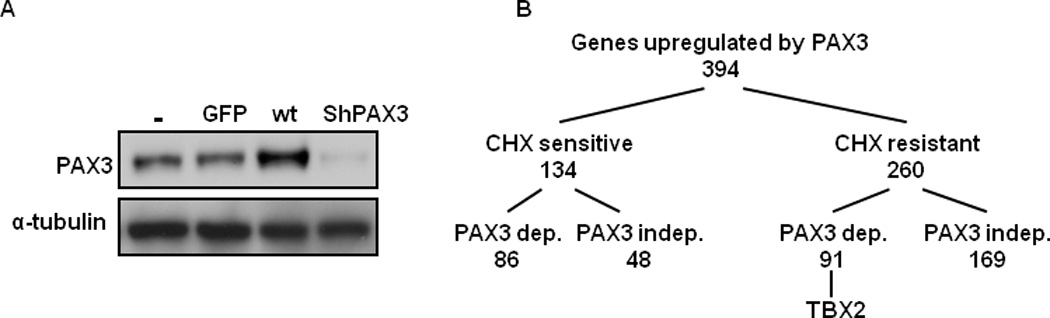 Figure1