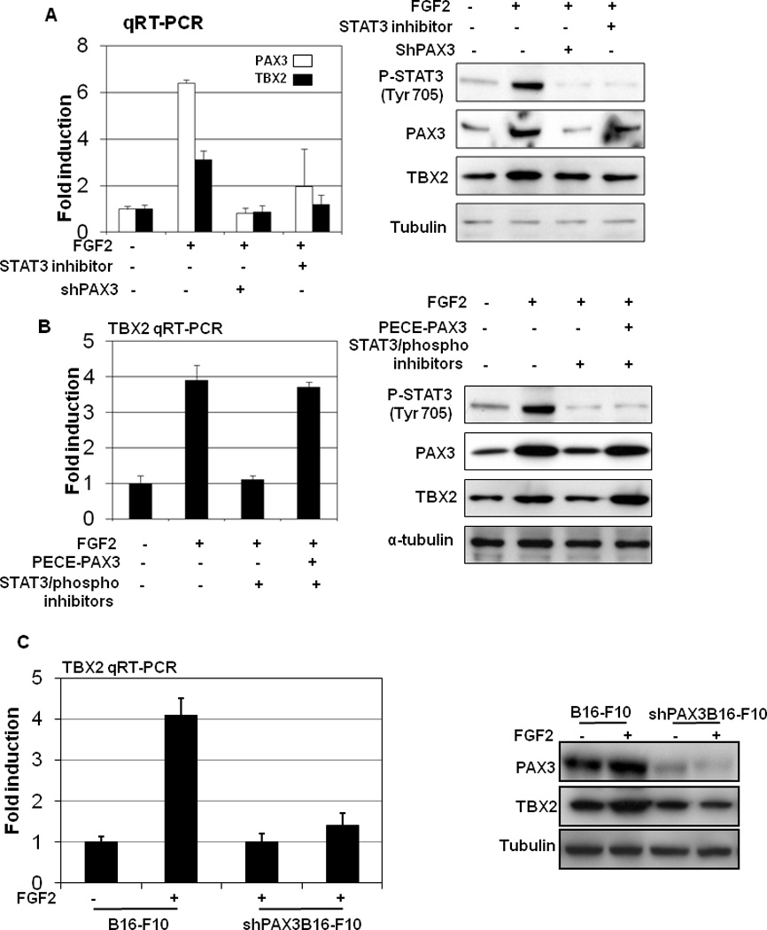 Figure4