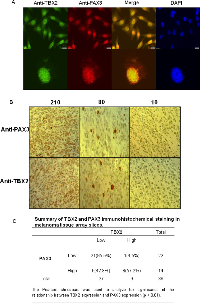 Figure2