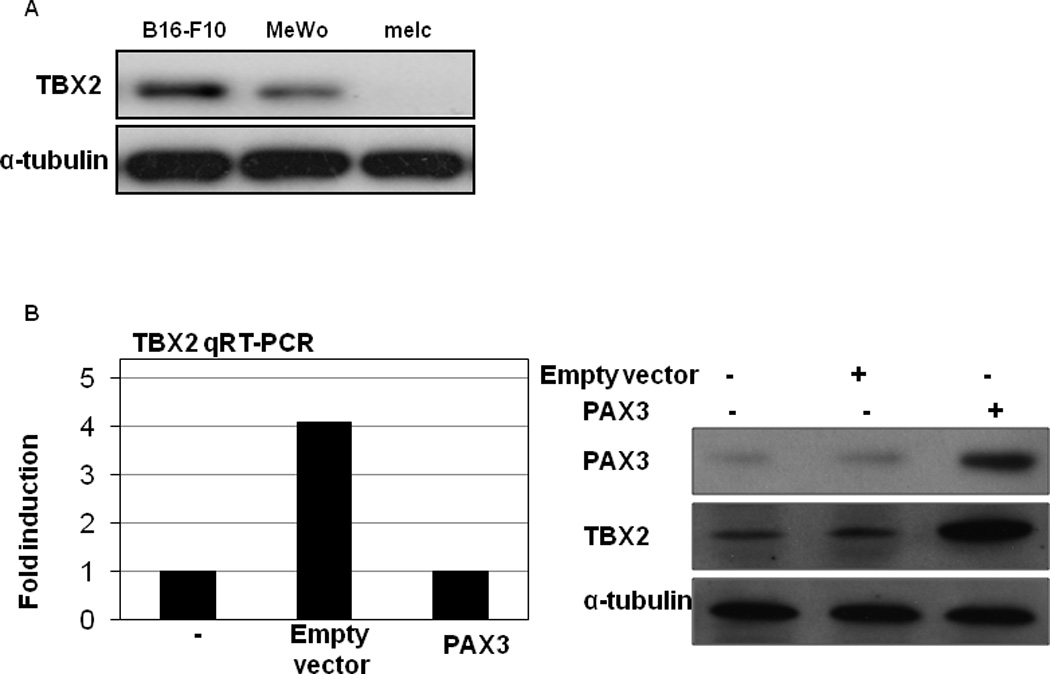 Figure3