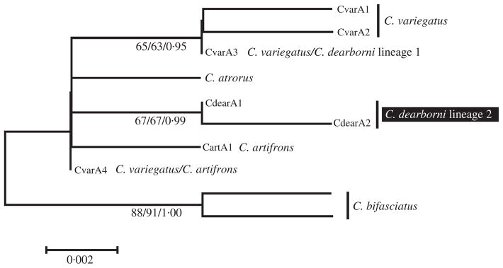 Fig. 2