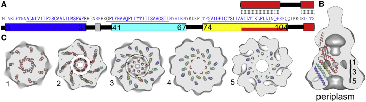 Figure 4