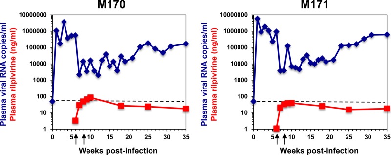 FIG 1