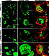 FIG. 8.