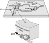 Fig. 1.